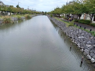 5E5CB314-39C7-4DB6-986D-7E158AB04888.jpeg