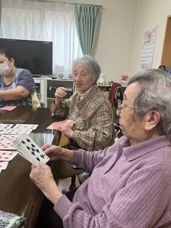 IMG_0087-694ba.jpeg