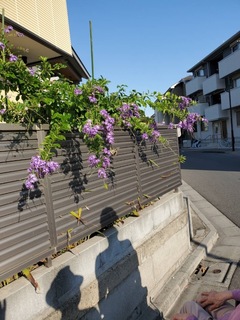 IMG_0134.jpeg