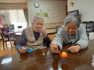 IMG_0147-76d3c.jpeg