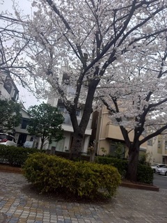 IMG_0301-ce39c.jpeg