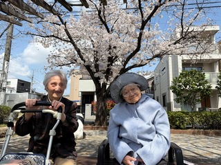 IMG_0338-bdc63.jpeg