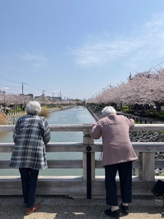 IMG_0414-b6643.jpeg