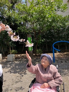 IMG_0420.jpeg