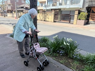 IMG_0718-cc1bd.jpeg