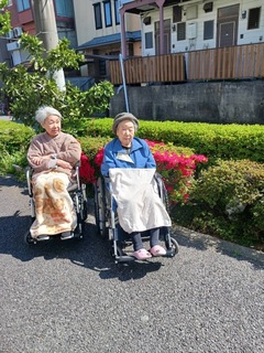 IMG_0846-9ee79.jpeg