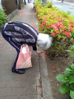 IMG_1022-7dc72.jpeg