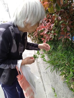 IMG_1025-e6308.jpeg