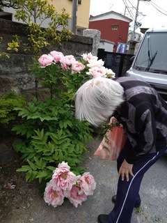 IMG_1029-0393a.jpeg