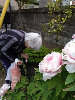 IMG_1032-12939.jpeg