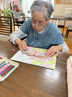 IMG_1231-2b515.jpeg