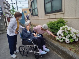 IMG_1285-8fe1c.jpeg