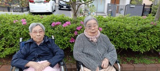 IMG_1347-87a14.jpeg