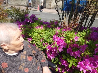 IMG_1355-c183c.jpeg