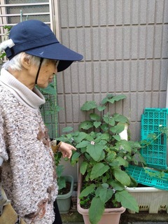 IMG_4623.jpeg