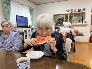 IMG_5219-aff83.jpeg