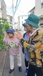 IMG_5326-2bb5c.jpeg