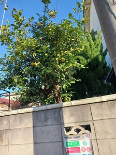 IMG_6059-1686c.jpeg