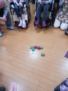 IMG_6356-a413e.jpeg