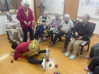 IMG_6733-8554c.jpeg