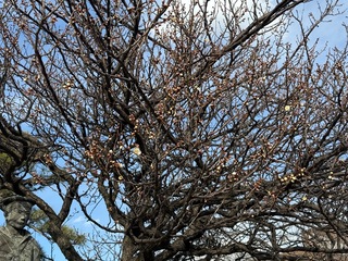 IMG_7035-60c16.jpeg