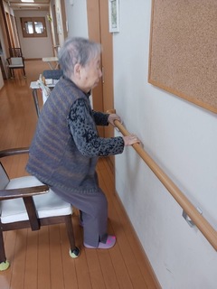 IMG_7054-70ffc.jpeg