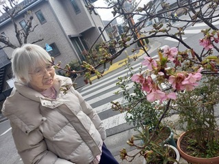IMG_7518-a2bfd.jpeg