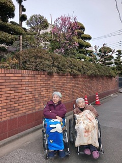 IMG_7537-28021.jpeg