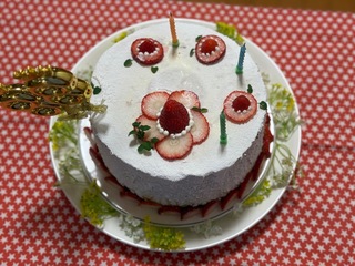 IMG_8029-5c611.jpeg