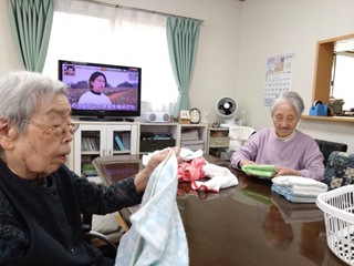 IMG_8386.jpeg