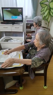 IMG_8917.jpeg
