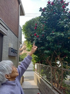 IMG_9056-e4096.jpeg