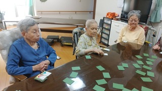 IMG_9185.jpeg