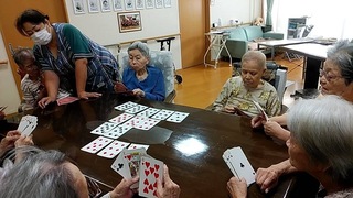 IMG_9195.jpeg