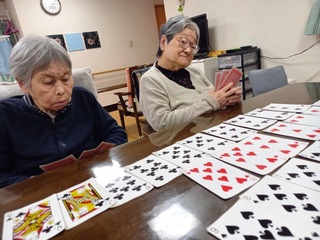 IMG_9200-c9056.jpeg