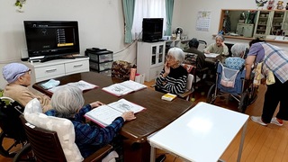 IMG_9515-803cb.jpeg