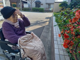 IMG_9556-77a68.jpeg