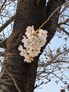 IMG_9719-f60f1.jpeg