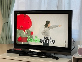 IMG_9811.jpeg
