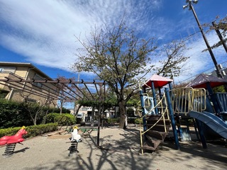 IMG_9822-8ce9b.jpeg