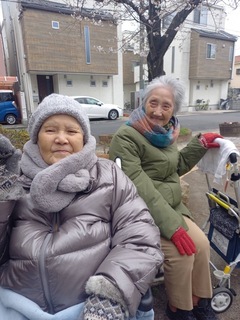 IMG_9900-b380e.jpeg